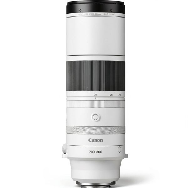 Canon RF 200-800mm Lens Super Telephoto Wildlife Photography-2