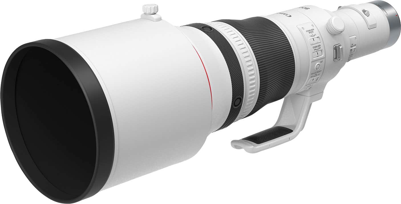 Canon RF800mm F5.6 L IS USM lens mounted on a Canon EOS R camera