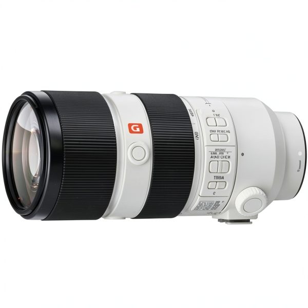 Sony G Master FE 70-200mm F2.8 Telephoto Zoom Lens-2