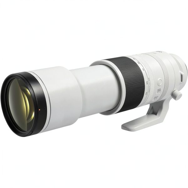 Canon RF 200-800mm Lens Super Telephoto Wildlife Photography-4