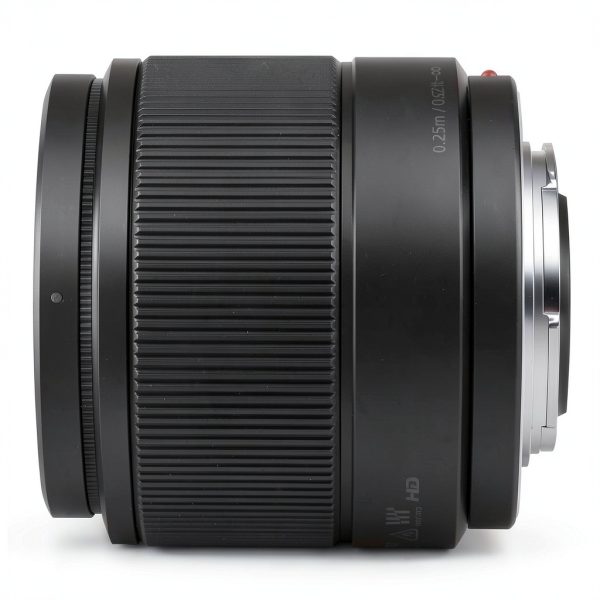 Panasonic LUMIX G 25mm f1.7 Lens Mirrorless Camera-3