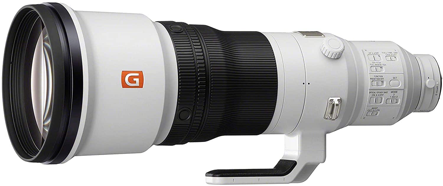 Sony FE 600mm F4 GM lens mounted on a camera in a wildlife setting