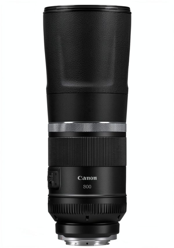 Canon RF800mm F11 IS STM Telephoto Lens for Wildlife-2