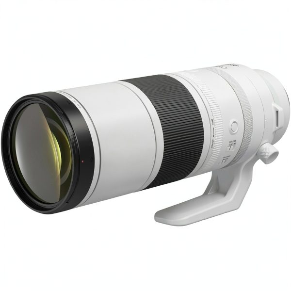 Canon RF 200-800mm Lens Super Telephoto Wildlife Photography-1