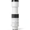 Canon RF 200-800mm Lens Super Telephoto Wildlife Photography-3