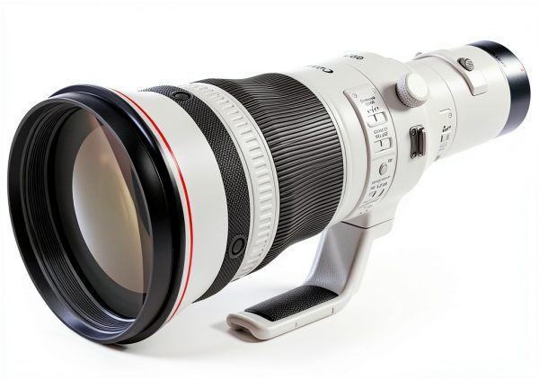 Canon RF800mm F5.6 L IS USM Telephoto Lens for Wildlife-2