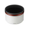 Sony FE 300mm F2.8 GM OSS G Master Telephoto Lens-3