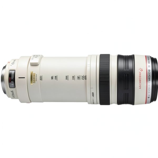 Canon EF 100-400mm Lens Bundle Telephoto Stabilized-1