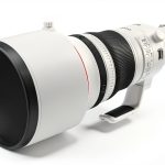 Canon RF800mm F5.6 L IS USM Telephoto Lens for Wildlife-0