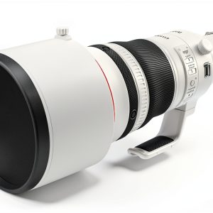 Canon RF800mm F5.6 L IS USM Telephoto Lens for Wildlife-0